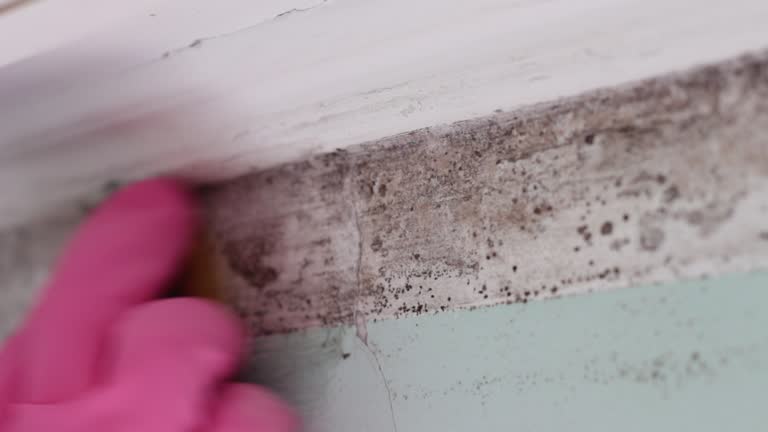 Best Mold Prevention Services  in Coweta, OK